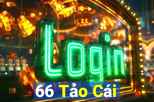 66 Tảo Cái