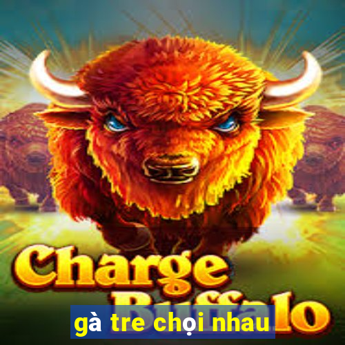 gà tre chọi nhau