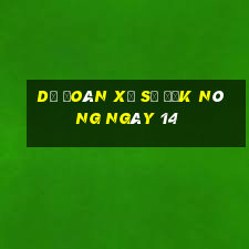 Dự Đoán Xổ Số Đắk Nông ngày 14