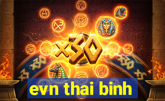 evn thai binh