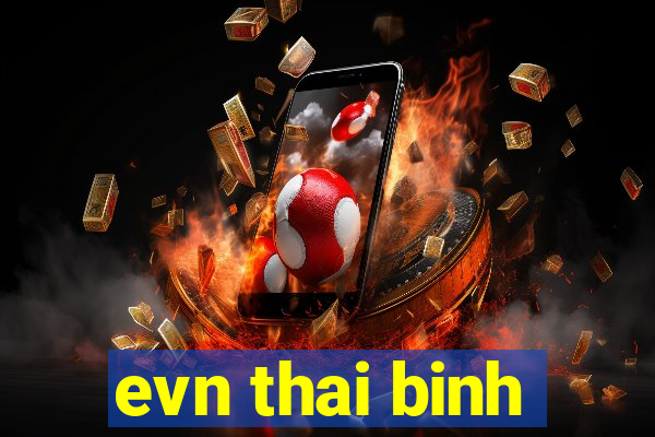 evn thai binh