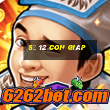 số 12 con giáp