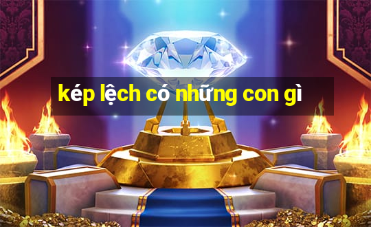 kép lệch có những con gì