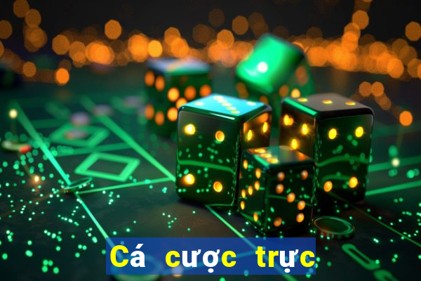 Cá cược trực tuyến Biendo