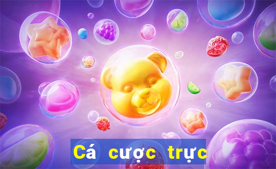 Cá cược trực tuyến Biendo