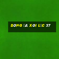 bóng đá xôi lạc 37