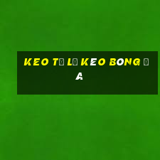 keo tỷ lệ kèo bóng đá