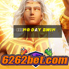 Đường dây bwin