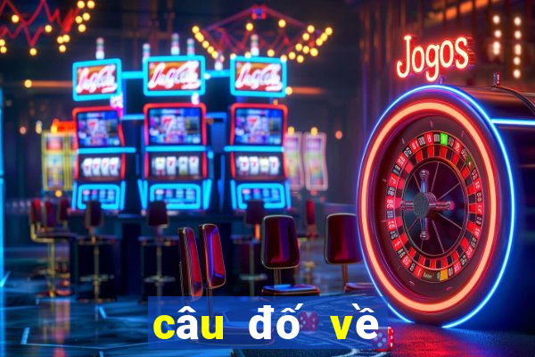 câu đố về con cá