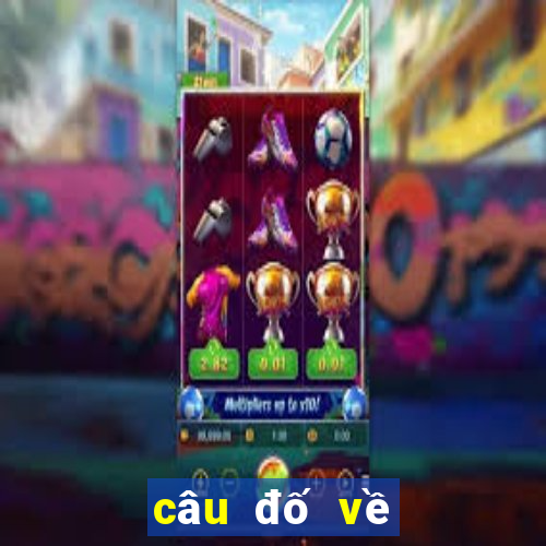 câu đố về con cá