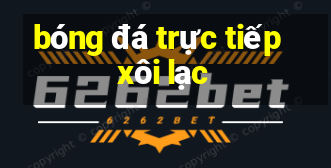 bóng đá trực tiếp xôi lạc