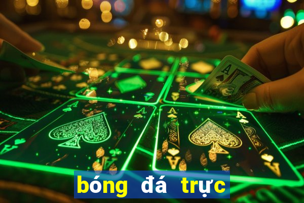 bóng đá trực tiếp xôi lạc