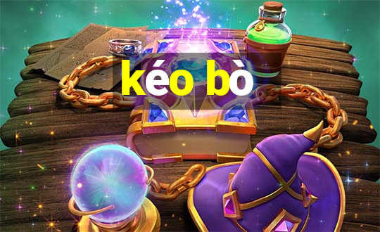 kéo bò