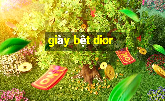 giày bệt dior