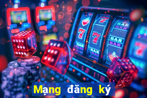 Mạng đăng ký Việt nam