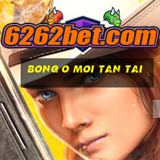 bong o moi tan tai