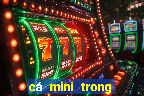 cá mini trong play together