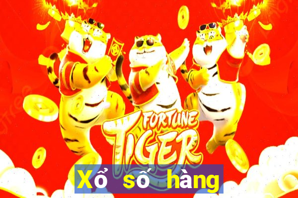 Xổ số hàng triệu xổ số Tải về