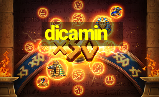 dicamin