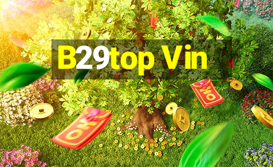 B29top Vin