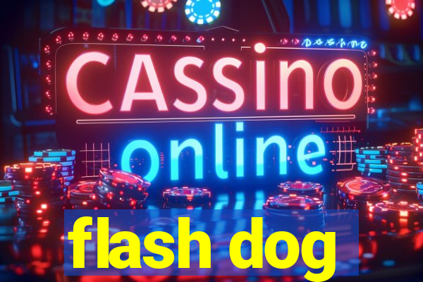 flash dog