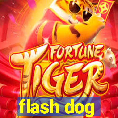 flash dog