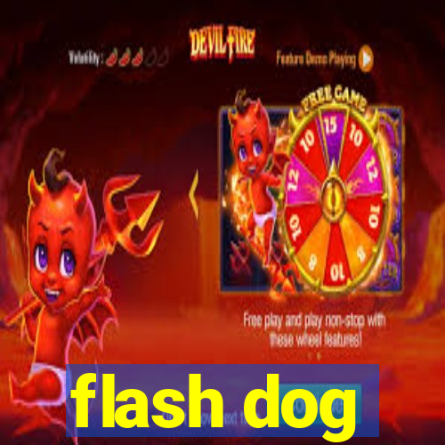 flash dog