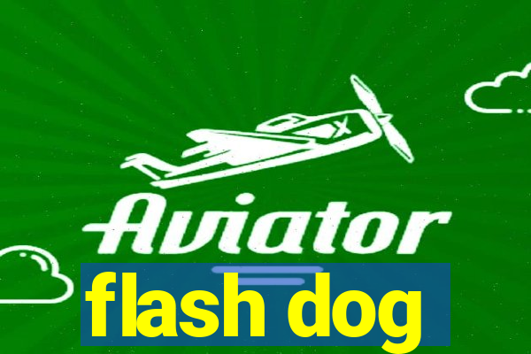 flash dog