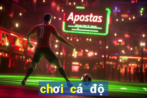 chơi cá độ bóng đá online