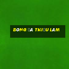 bóng đá thiếu lâm