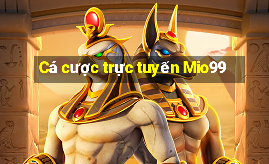 Cá cược trực tuyến Mio99