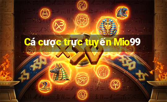 Cá cược trực tuyến Mio99