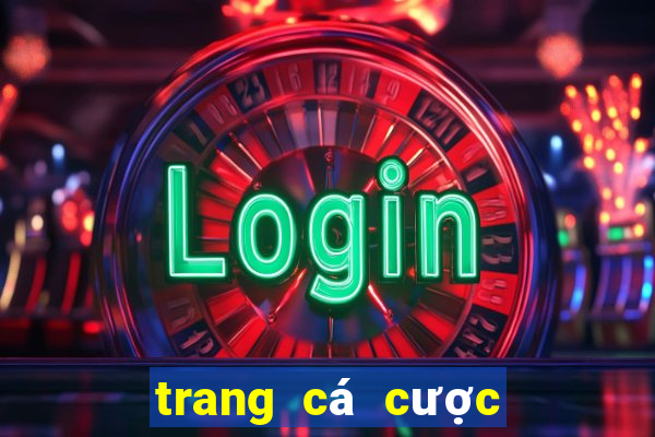 trang cá cược bóng đá akucher