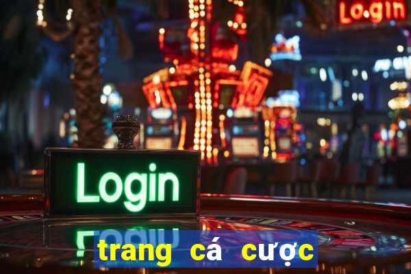 trang cá cược bóng đá chicai88