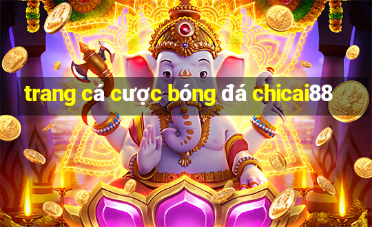 trang cá cược bóng đá chicai88