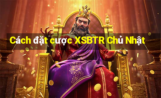 Cách đặt cược XSBTR Chủ Nhật