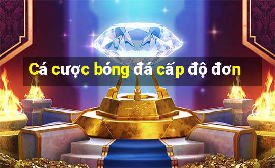 Cá cược bóng đá cấp độ đơn