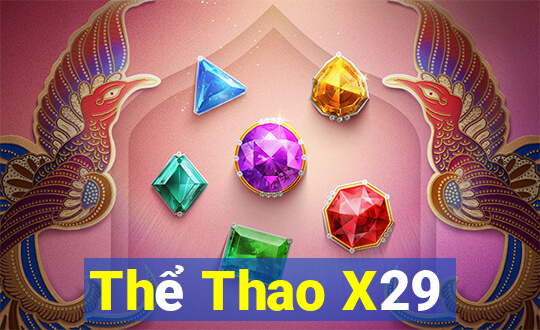 Thể Thao X29