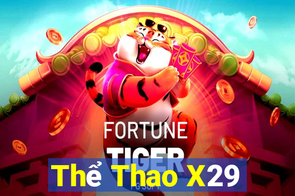 Thể Thao X29