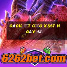 Cách đặt cược XSST ngày 14