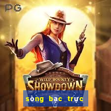 sòng bạc trực tiếp v7bet