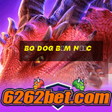 Bo DOG bơm nước