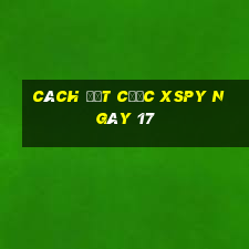 Cách đặt cược XSPY ngày 17