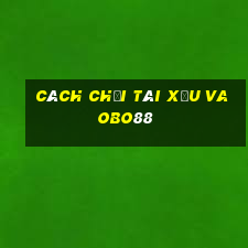 cách chơi tài xỉu vaobo88