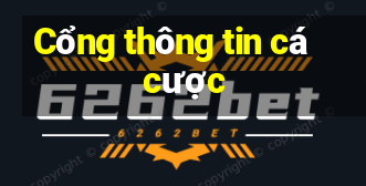 Cổng thông tin cá cược