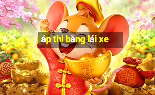 áp thi bằng lái xe