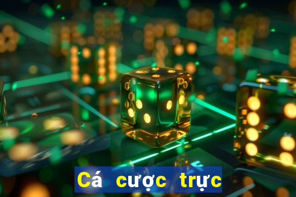 Cá cược trực tuyến fabet88