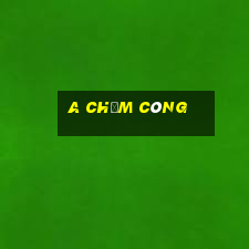 a chấm công