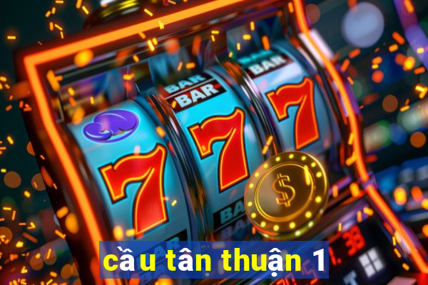 cầu tân thuận 1