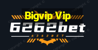 Bigvip Vip